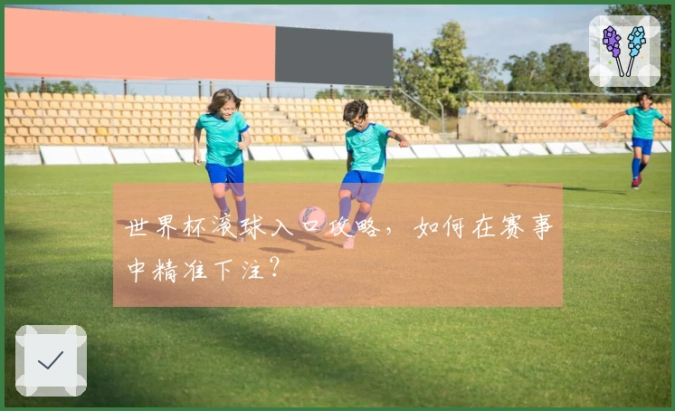 世界杯滚球入口攻略，如何在赛事中精准下注？